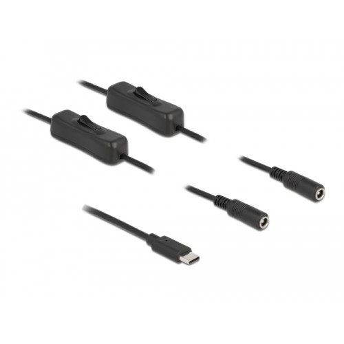 Delock Cable USB Type-C™ male to 2 x DC 5.5 x 2.1 mm female with switch 1 m