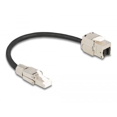 Delock Cable RJ45 plug field assembly to Keystone Module RJ45 jack Cat.6A 25 cm 2