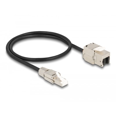 Delock Cable RJ45 plug field assembly to Keystone Module RJ45 jack Cat.6A 50 cm 2