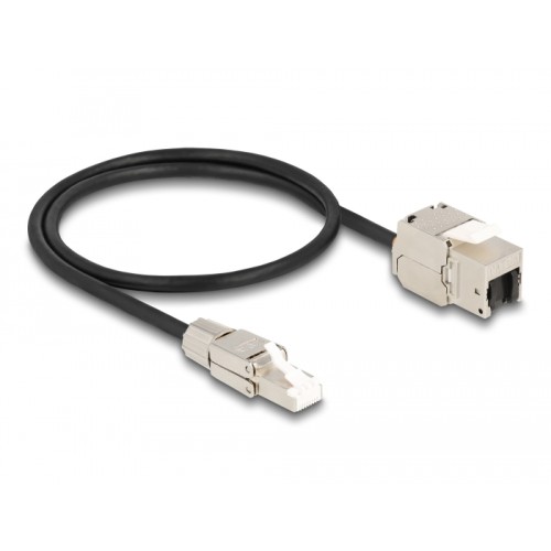 Delock Cable RJ45 plug field assembly to Keystone Module RJ45 jack Cat.6A 50 cm