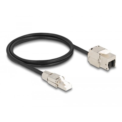 Delock Cable RJ45 plug field assembly to Keystone Module RJ45 jack Cat.6A 1 m 2