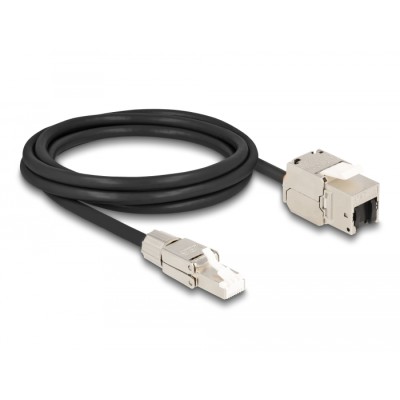 Delock Cable RJ45 plug field assembly to Keystone Module RJ45 jack Cat.6A 2 m 2