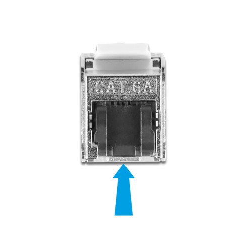 Delock Cable RJ45 plug field assembly to Keystone Module RJ45 jack Cat.6A 2 m