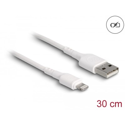 Delock USB Charging Cable for iPhone™, iPad™, iPod™ white 30 cm
