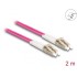 Delock Fiber Optical Cable with metal armouring LC Duplex to LC Duplex Multi-mode OM4 2 m
