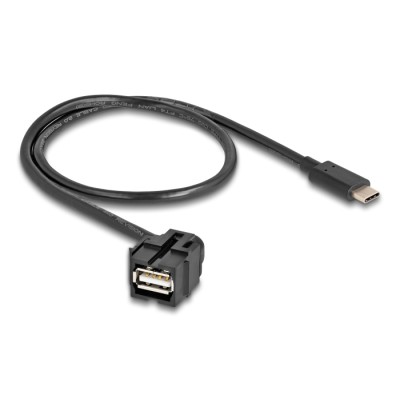 Delock Keystone Module USB 2.0 A female to USB Type-C™ male 250° with cable 0.5 m 2