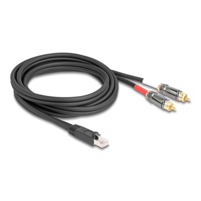 Delock Adapter Cable RJ45 plug to 2 x RCA male black 2 m 2