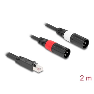 Delock Adapter Cable RJ45 plug to 2 x XLR 3 pin plug black 2 m