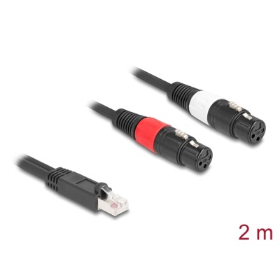 Delock Adapter Cable RJ45 plug to 2 x XLR 3 pin jack black 2 m