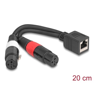Delock Adapter Cable RJ45 jack to 2 x XLR 3 pin jack black 20 cm