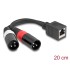 Delock Adapter Cable RJ45 jack to 2 x XLR 3 pin plug black 20 cm