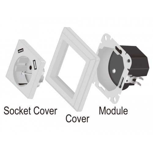 Delock Wall Socket with 2 x USB Type-A Charging Port 2.8 A