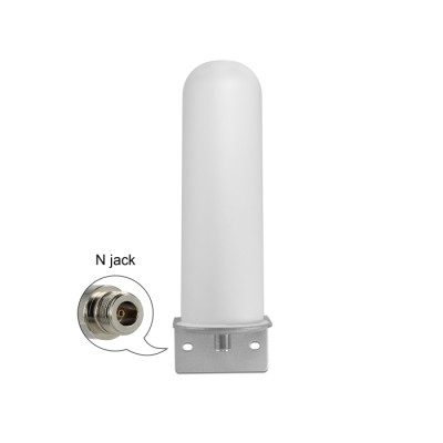 Delock LTE Antenna N jack 4 - 6 dBi 22 cm omnidirectional fixed wall and pole mounting white outdoor