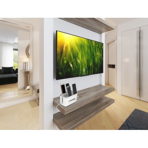 Delock Cable Management box with storage case white / grey