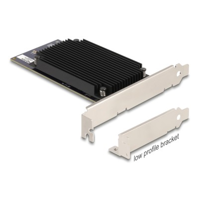 Delock PCI Express x8 Hailo-8™ AI Processor x2 AI-Accelerator