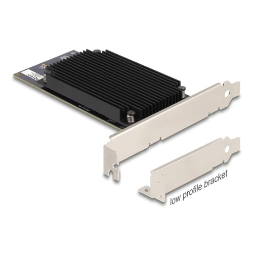 Delock PCI Express x8 Hailo-8™ AI Processor x2 AI-Accelerator