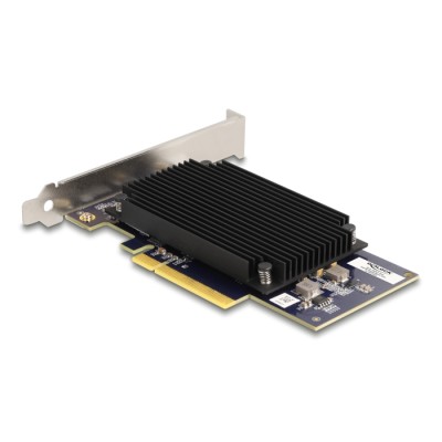Delock PCI Express x8 Hailo-8™ AI Processor x2 AI-Accelerator 2