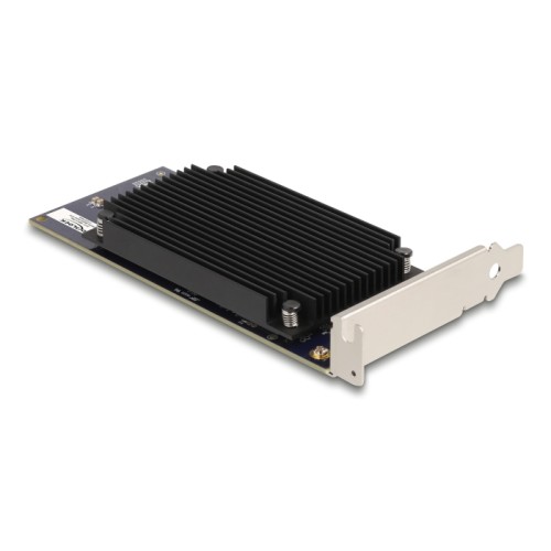 Delock PCI Express x8 Hailo-8™ AI Processor x2 AI-Accelerator