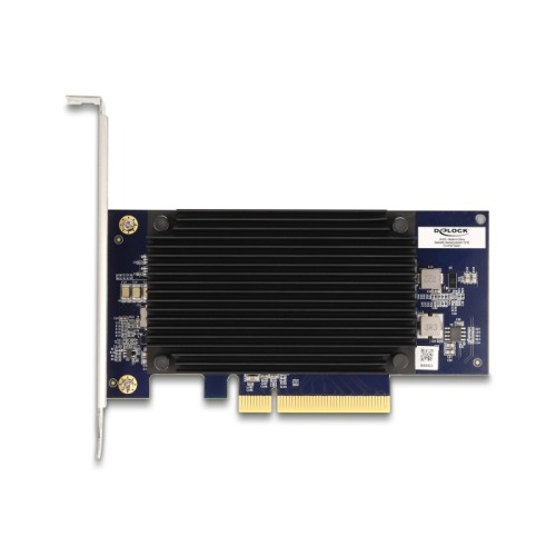 Delock PCI Express x8 Hailo-8™ AI Processor x2 AI-Accelerator