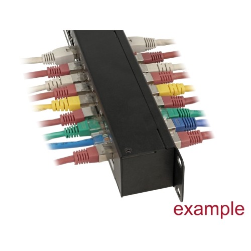 Delock 19″ Coupler Patch Panel 24 Port Cat.6