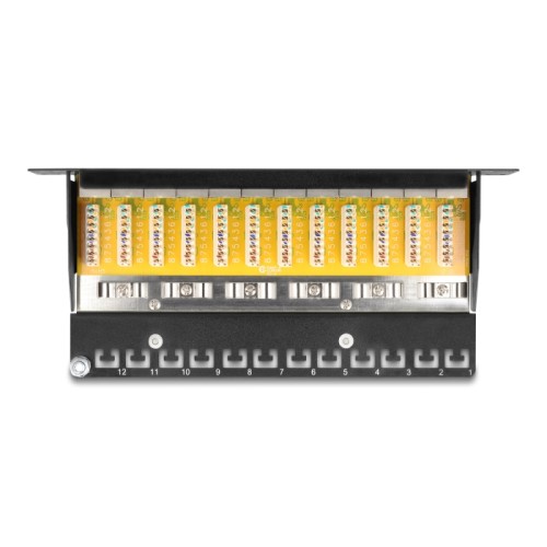 Delock 10″ Patch Panel 12 Port Cat.6 black
