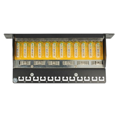 Delock 10″ Patch Panel 12 Port Cat.6 grey