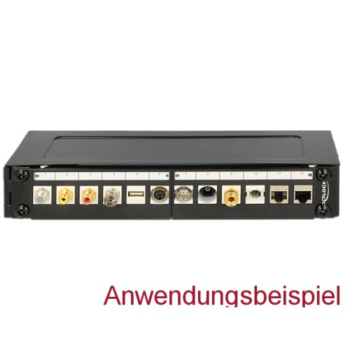 Delock 10″ Wallmount Rack 1 U