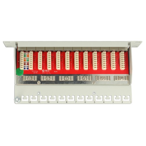 Delock 10″ Patch Panel 12 Port Cat.6A grey
