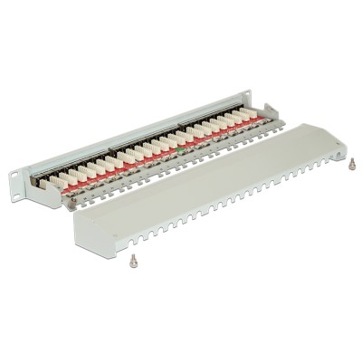 Delock 19″ Patch Panel 24 Port Cat.6A grey 2