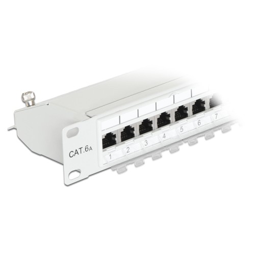 Delock 19″ Patch Panel 24 Port Cat.6A grey