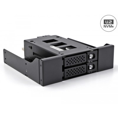 Delock Slim Bay Mobile Rack for 2 x 2.5″ U.2 NVMe SSD with 5.25″ frame