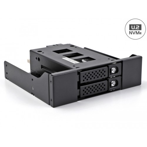 Delock Slim Bay Mobile Rack for 2 x 2.5″ U.2 NVMe SSD with 5.25″ frame