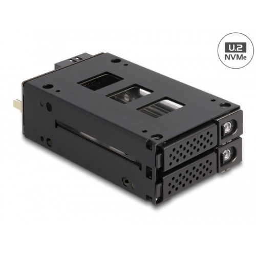 Delock Slim Bay Mobile Rack for 2 x 2.5″ U.2 NVMe SSD