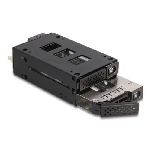 Delock Slim Bay Mobile Rack for 2 x 2.5″ U.2 NVMe SSD