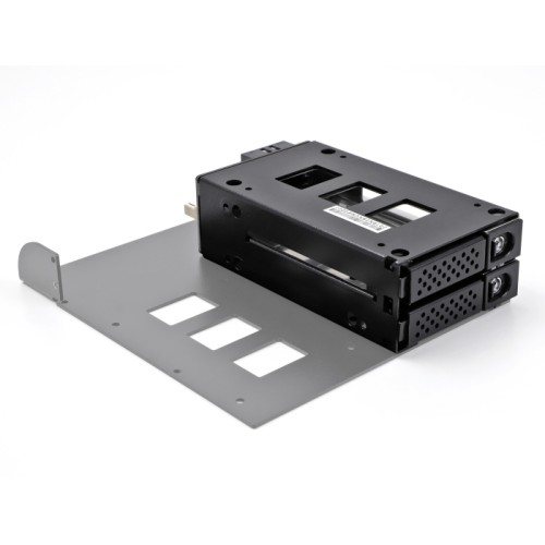 Delock Slim Bay Mobile Rack for 2 x 2.5″ U.2 NVMe SSD