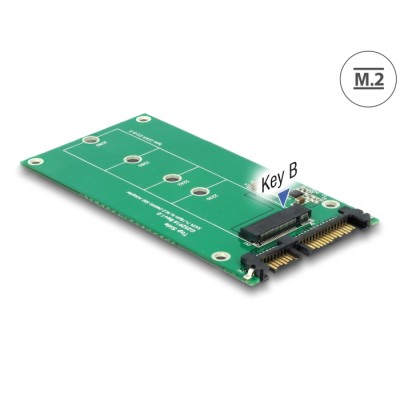 Delock Converter SATA 22 Pin > M.2