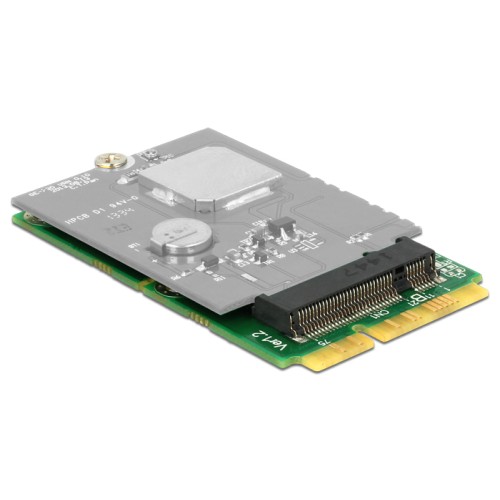 Delock Adapter MiniPCIe  M.2 NGFF