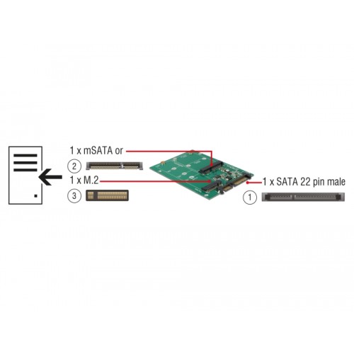 Delock Converter SATA 22 pin  1 x M.2 + 1 x mSATA