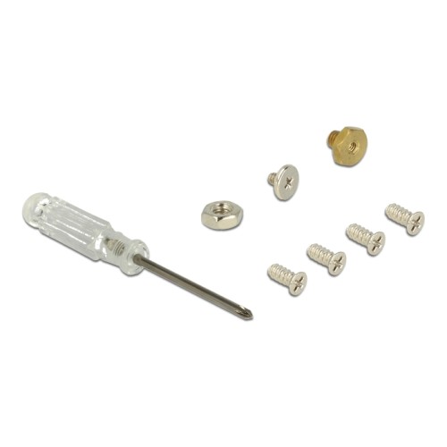 Delock 2.5″ Converter SATA 22 pin > M.2 with Enclosure