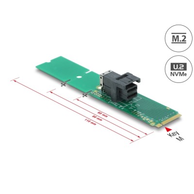 Delock Adapter M.2 Key M to SFF-8643 NVMe 22110 / 2280 / 2260