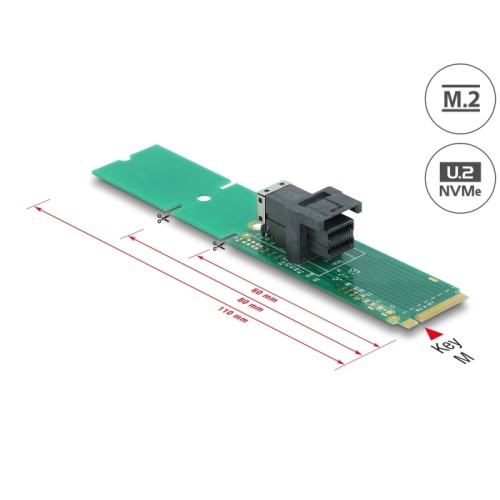 Delock Adapter M.2 Key M to SFF-8643 NVMe 22110 / 2280 / 2260