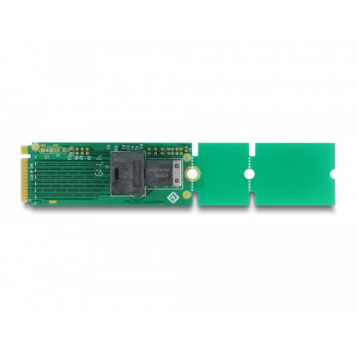 Delock Adapter M.2 Key M to SFF-8643 NVMe 22110 / 2280 / 2260