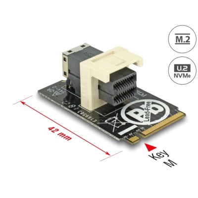 Delock Adapter M.2 Key M > SFF-8643 NVMe horizontal 2242