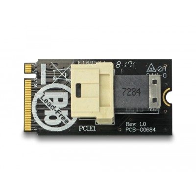 Delock Adapter M.2 Key M  SFF-8643 NVMe horizontal 2242 2