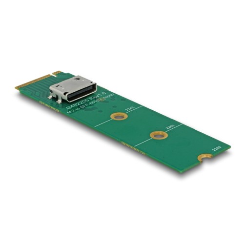 Delock M.2 Key M to 1 x OCuLink SFF-8612 Converter