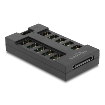 Delock RGB Hub for ARGB LEDs with 10 ports
