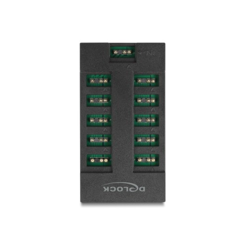 Delock RGB Hub for ARGB LEDs with 10 ports