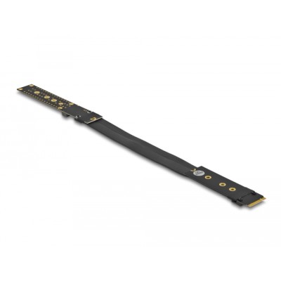 Delock Riser Card M.2 Key M Extension NVMe with 20 cm cable 2