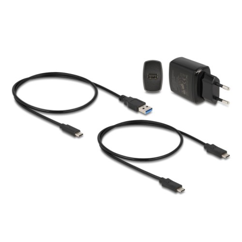 Delock M.2 Docking Station for 2 x M.2 NVMe PCIe SSD with Clone function