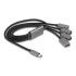 Delock 4 Port USB 2.0 Cable Hub with USB Type-C™ connector 60 cm